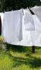 SleepFROG white cotton sheets hanging on clothes line 